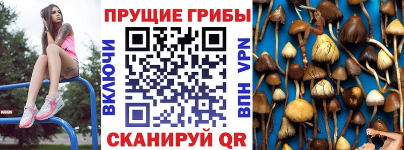 Галлюциногенные грибы GOLDEN TEACHER  Балаково 