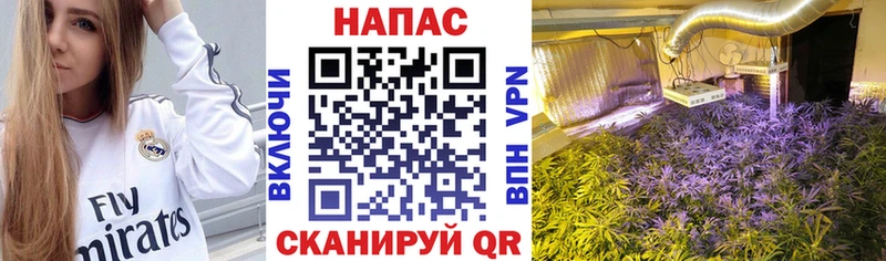 KRAKEN ТОР  Балаково  Канабис THC 21% 